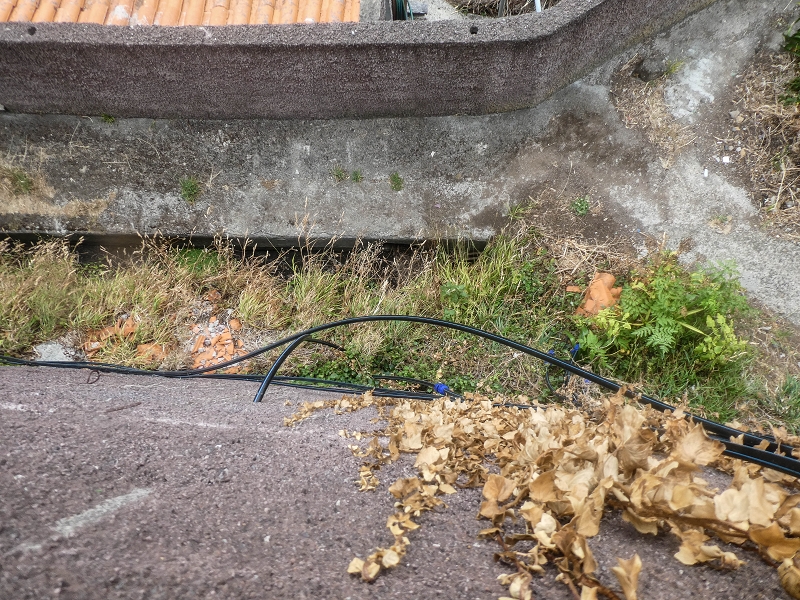 Levada do Pico do Arvoredo — Zum Ende von Abschnitt 1 — Foto 19