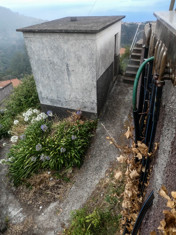 Levada do Pico do Arvoredo — Zum Ende von Abschnitt 1 — Foto 20