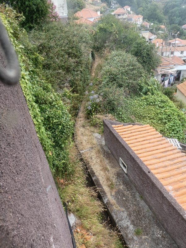 Levada do Pico do Arvoredo — Zum Ende von Abschnitt 1 — Foto 21