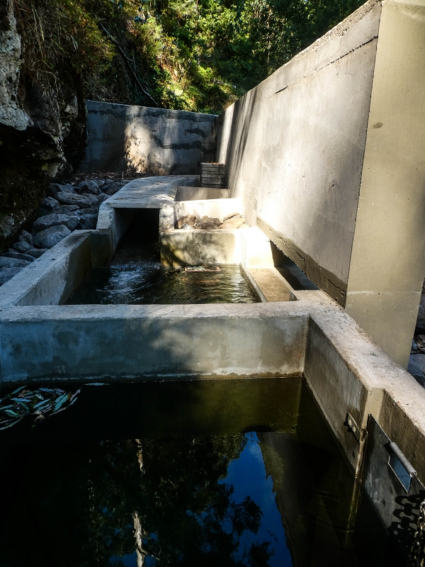 Levada do Pico do Arvoredo — Madre bis zum Beginn des neu zugänglichen Tunnel (Stand 2021) — Foto 2