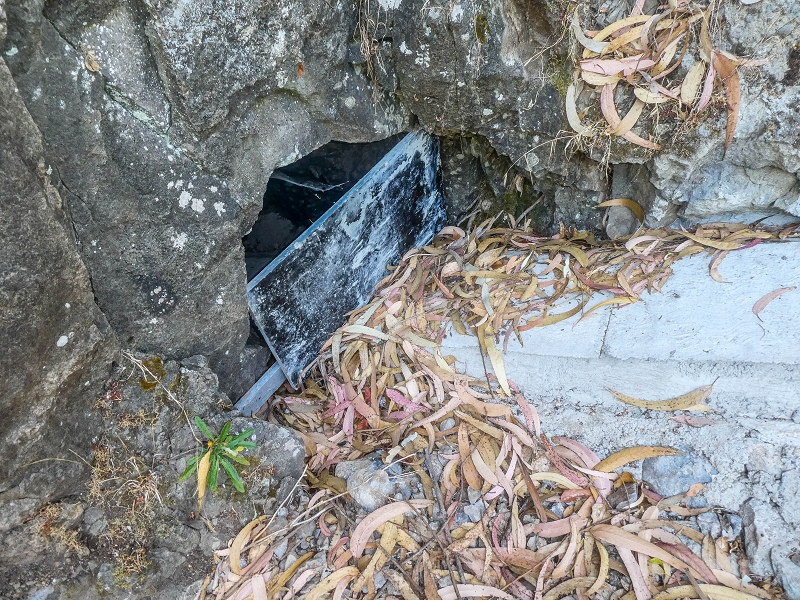 Levada do Pico do Arvoredo — Der neu kriechend zugängliche Tunnel (Stand 2021) — Foto 1