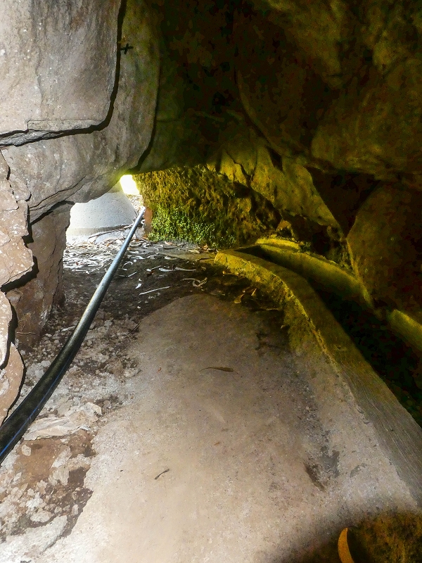 Levada do Pico do Arvoredo — Der neu kriechend zugängliche Tunnel (Stand 2021) — Foto 4