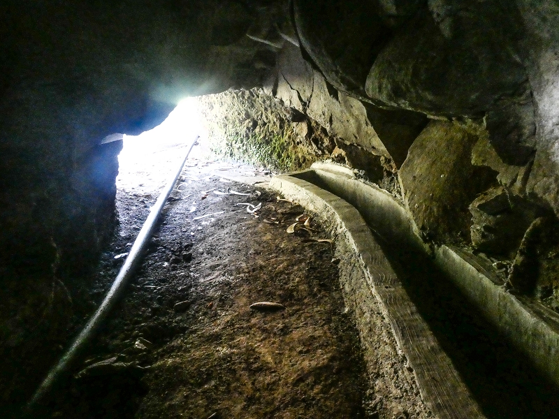 Levada do Pico do Arvoredo — Der neu kriechend zugängliche Tunnel (Stand 2021) — Foto 5