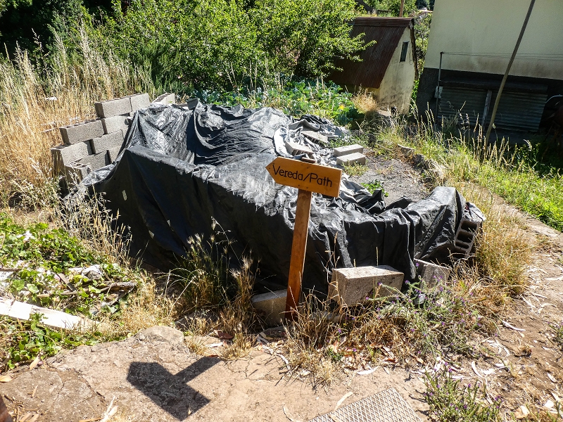 02.08.2021 Über 5 Levadas rund um Camacha — Weiter zur Fonte Perigosa — Foto 1