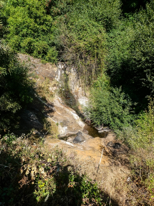 02.08.2021 Über 5 Levadas rund um Camacha — Weiter zur Fonte Perigosa — Foto 2