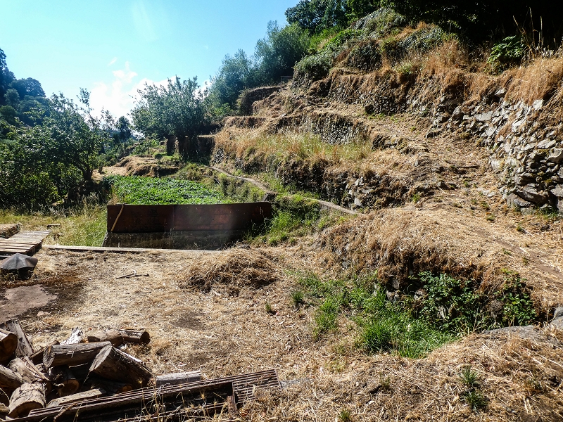 02.08.2021 Über 5 Levadas rund um Camacha — Weiter zur Fonte Perigosa — Foto 3