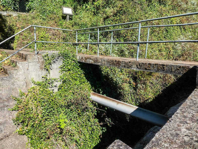 02.08.2021 Über 5 Levadas rund um Camacha — Fonte Perigosa — Foto 1