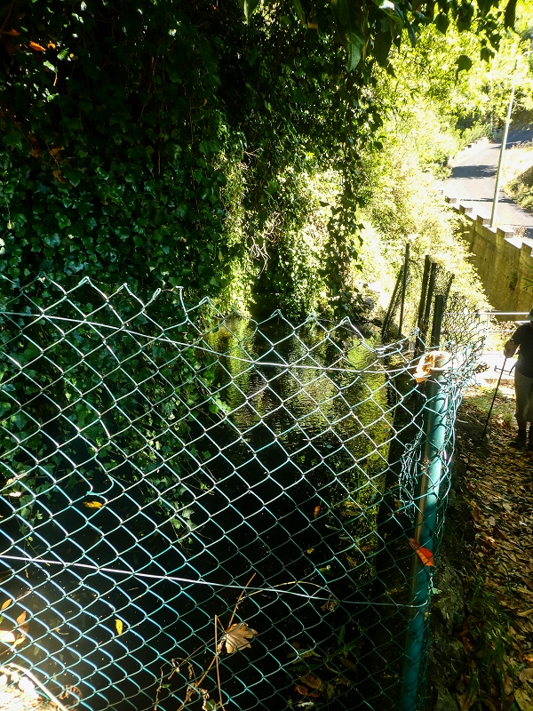 02.08.2021 Über 5 Levadas rund um Camacha — Fonte Perigosa — Foto 3
