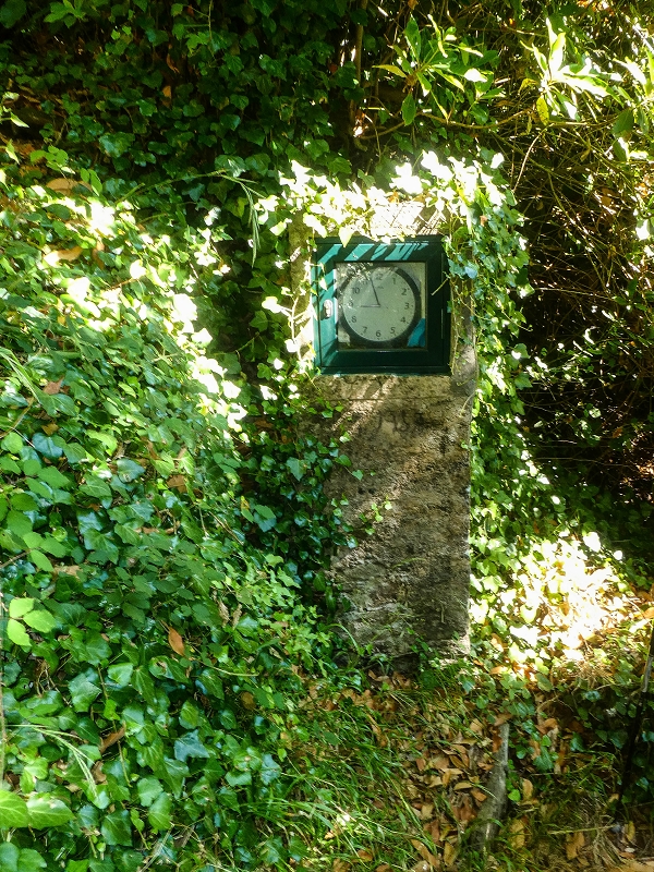 02.08.2021 Über 5 Levadas rund um Camacha — Fonte Perigosa — Foto 4