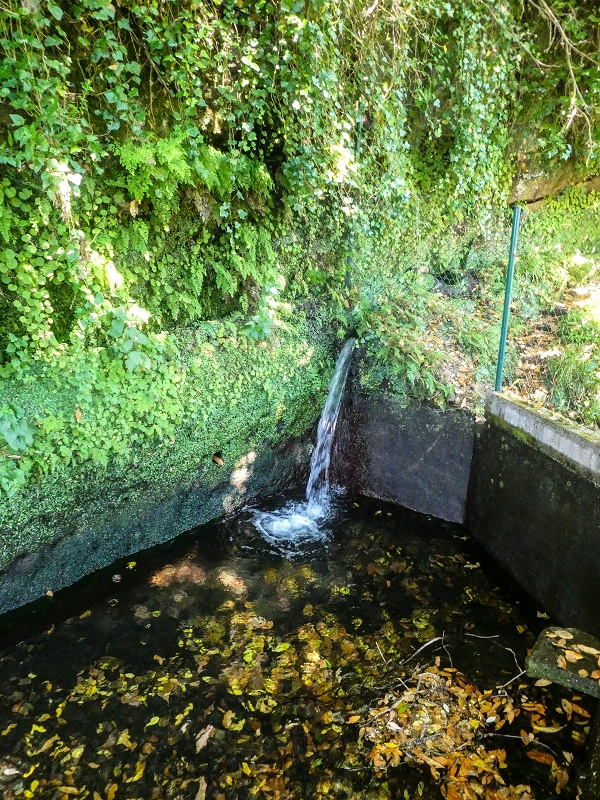 02.08.2021 Über 5 Levadas rund um Camacha — Fonte Perigosa — Foto 7