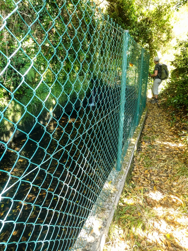 02.08.2021 Über 5 Levadas rund um Camacha — Fonte Perigosa — Foto 9
