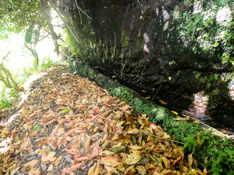 02.08.2021 Über 5 Levadas rund um Camacha — Fonte Perigosa — Foto 13
