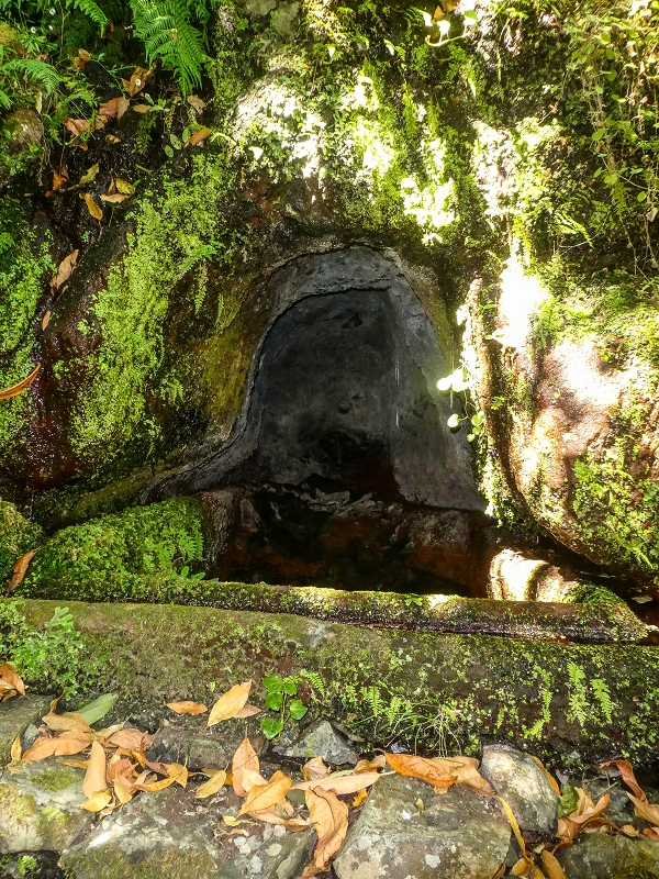 02.08.2021 Über 5 Levadas rund um Camacha — Fonte Perigosa — Foto 16