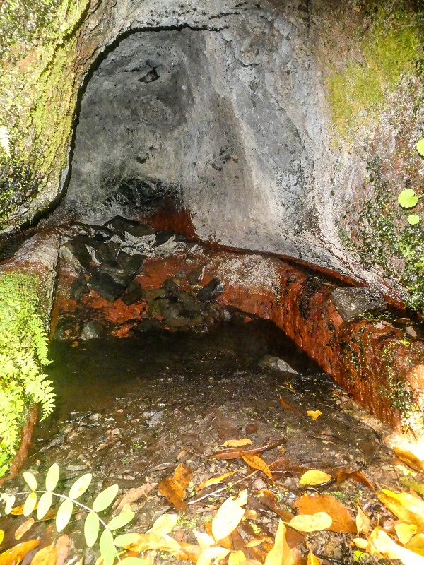02.08.2021 Über 5 Levadas rund um Camacha — Fonte Perigosa — Foto 24