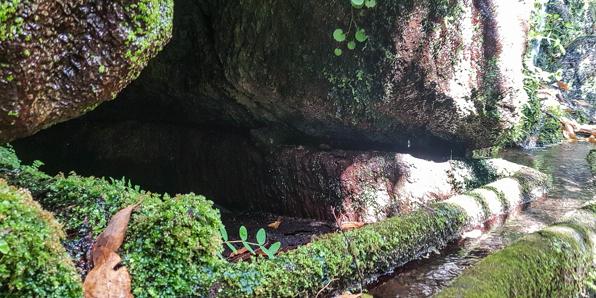 02.08.2021 Über 5 Levadas rund um Camacha — Fonte Perigosa — Foto 29