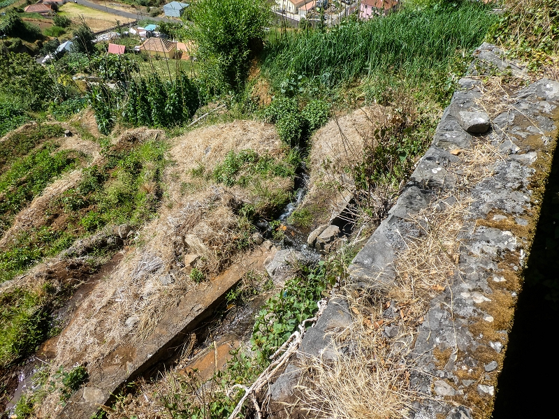 02.08.2021 Über 5 Levadas rund um Camacha — Fonte Perigosa — Foto 33