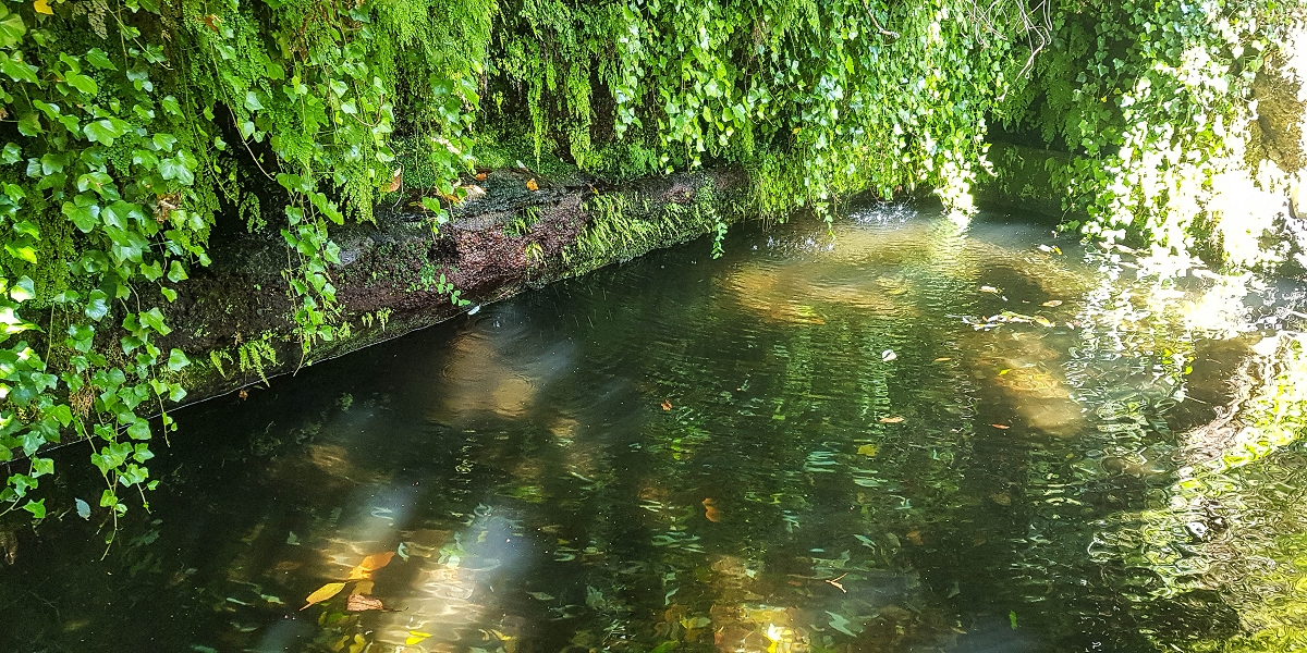 02.08.2021 Über 5 Levadas rund um Camacha — Fonte Perigosa — Foto 39