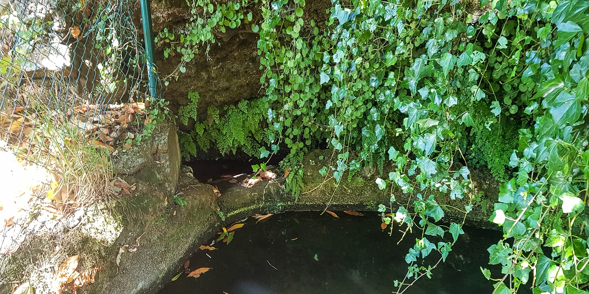 02.08.2021 Über 5 Levadas rund um Camacha — Fonte Perigosa — Foto 40
