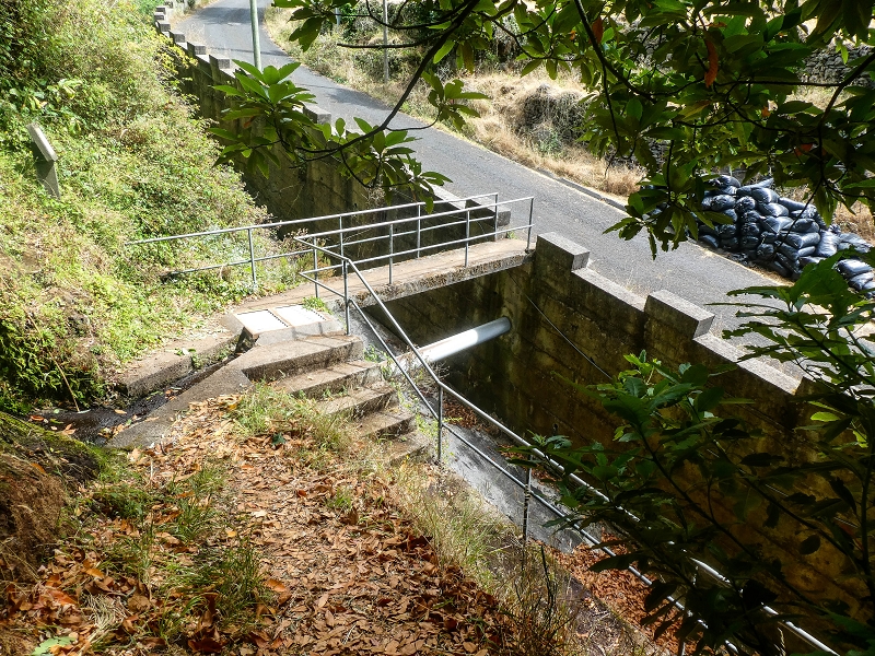 02.08.2021 Über 5 Levadas rund um Camacha — Weiter auf der Levada da Fonte Perigosa — Foto 1