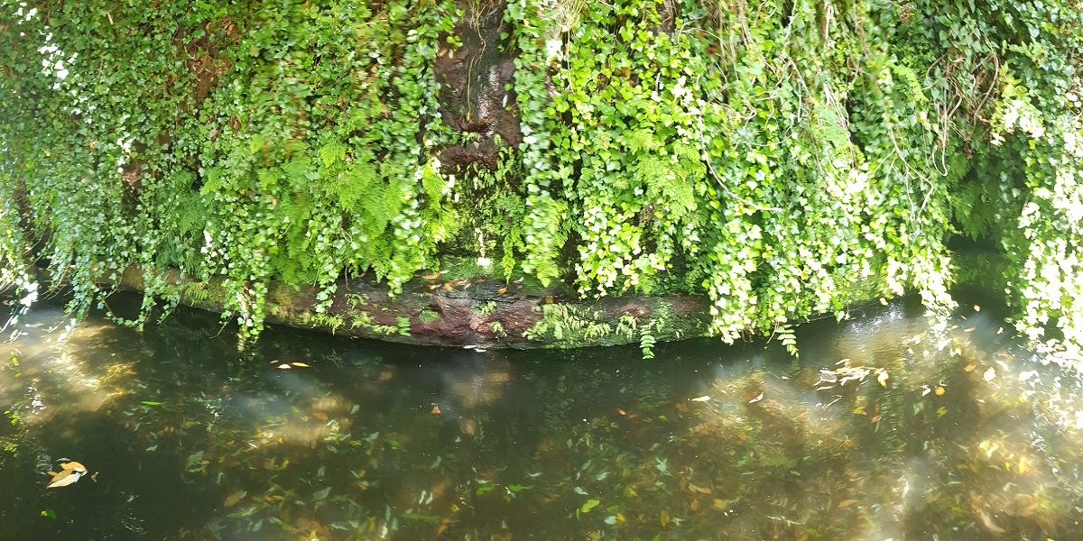 02.08.2021 Über 5 Levadas rund um Camacha — Fonte Perigosa — Foto 45