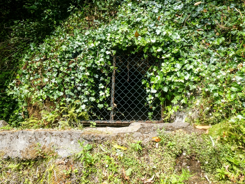 02.08.2021 Über 5 Levadas rund um Camacha — Fonte Perigosa — Foto 49