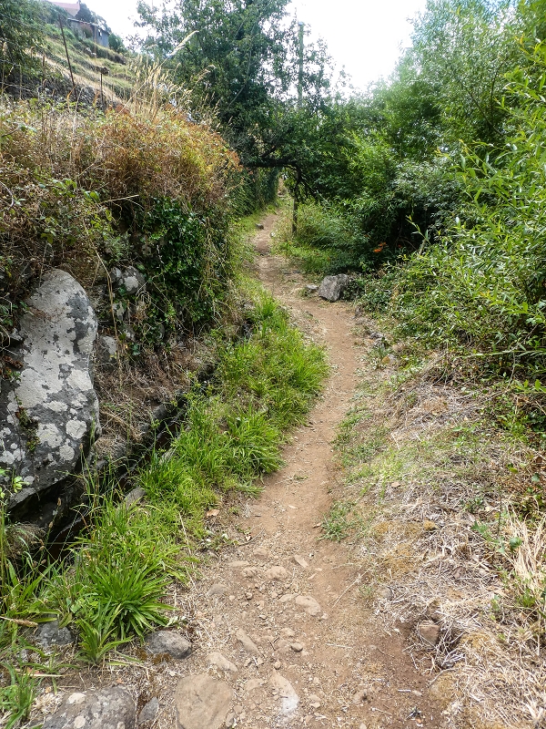 02.08.2021 Über 5 Levadas rund um Camacha — Weiter auf der Levada da Fonte Perigosa — Foto 2
