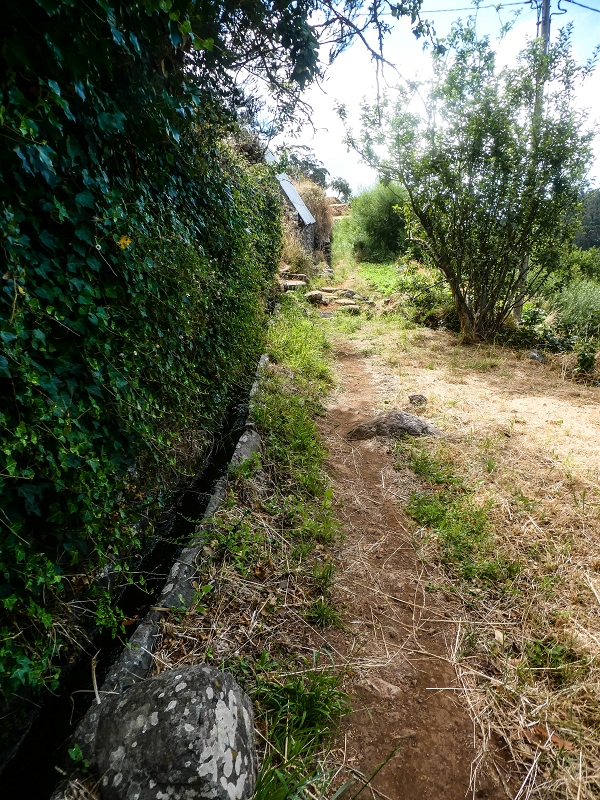 02.08.2021 Über 5 Levadas rund um Camacha — Weiter auf der Levada da Fonte Perigosa — Foto 3