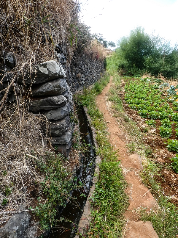 02.08.2021 Über 5 Levadas rund um Camacha — Weiter auf der Levada da Fonte Perigosa — Foto 6