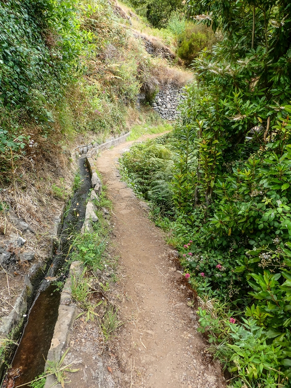 02.08.2021 Über 5 Levadas rund um Camacha — Weiter auf der Levada da Fonte Perigosa — Foto 7