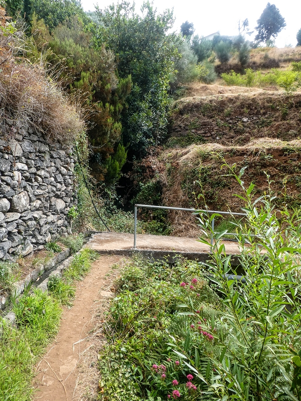 02.08.2021 Über 5 Levadas rund um Camacha — Weiter auf der Levada da Fonte Perigosa — Foto 8
