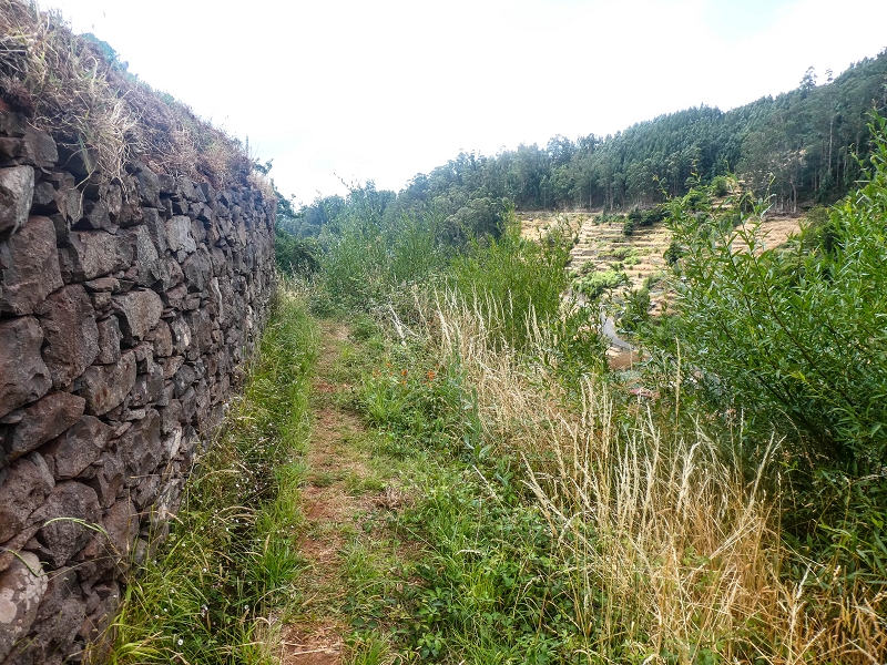 02.08.2021 Über 5 Levadas rund um Camacha — Weiter auf der Levada da Fonte Perigosa — Foto 11