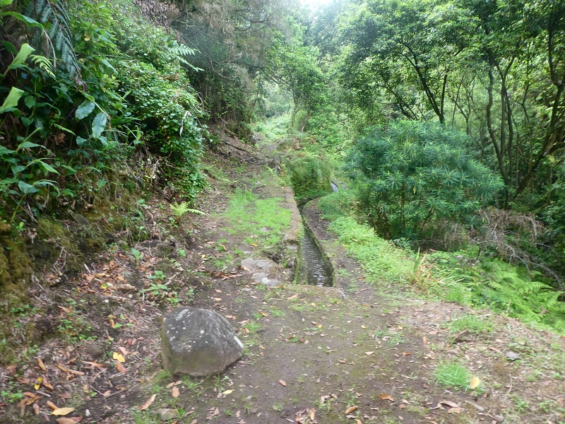 03.07.2018 Rundtour von Boaventura über die Ribeira dos Moinhos nach Achada da Madeira und zurück über die Levada da Achada Grande — Von Rocada zur Madre der Levada da Achada Grande — Foto 10