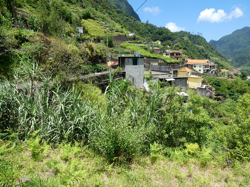 03.07.2018 Rundtour von Boaventura über die Ribeira dos Moinhos nach Achada da Madeira und zurück über die Levada da Achada Grande — Weiter nach Falca de Cima — Foto 2