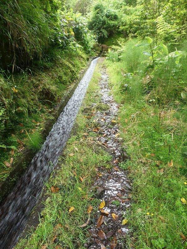 03.07.2018 Rundtour von Boaventura über die Ribeira dos Moinhos nach Achada da Madeira und zurück über die Levada da Achada Grande — Von Rocada zur Madre der Levada da Achada Grande — Foto 11