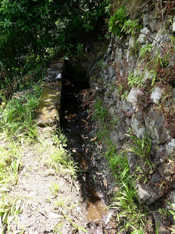 03.07.2018 Rundtour von Boaventura über die Ribeira dos Moinhos nach Achada da Madeira und zurück über die Levada da Achada Grande — Aufstieg zur Levada da Achada Grande mit Seitenlevadas, Blick auf die Levada das Faias auf der andern Talseite — Foto 2