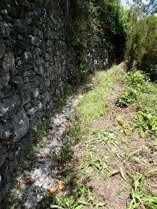 03.07.2018 Rundtour von Boaventura über die Ribeira dos Moinhos nach Achada da Madeira und zurück über die Levada da Achada Grande — Aufstieg zur Levada da Achada Grande mit Seitenlevadas, Blick auf die Levada das Faias auf der andern Talseite — Foto 3