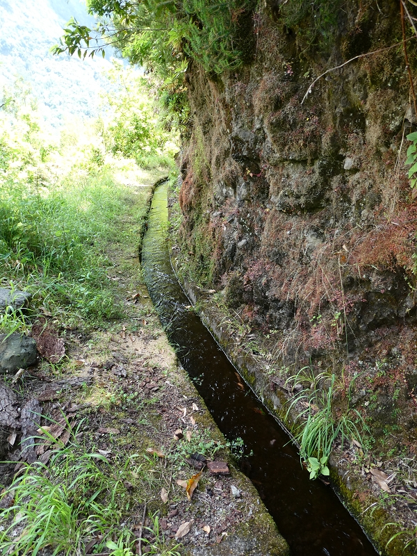03.07.2018 Rundtour von Boaventura über die Ribeira dos Moinhos nach Achada da Madeira und zurück über die Levada da Achada Grande — Auf der Levada da Achada Grande bis zum Ende — Foto 2