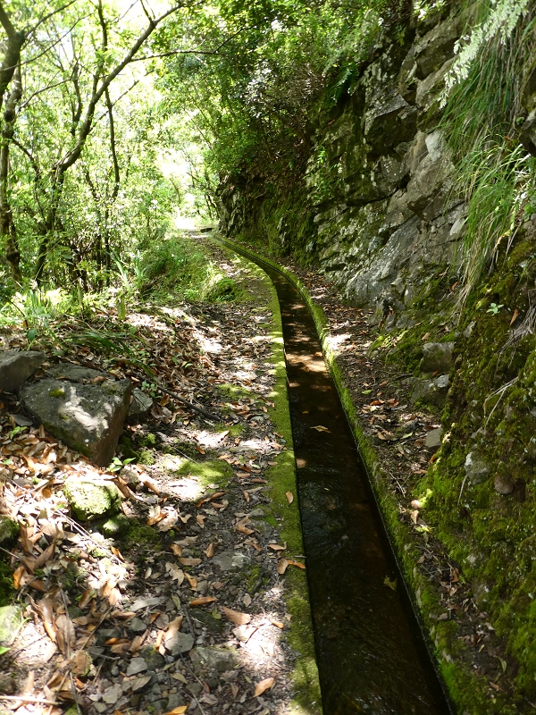 03.07.2018 Rundtour von Boaventura über die Ribeira dos Moinhos nach Achada da Madeira und zurück über die Levada da Achada Grande — Auf der Levada da Achada Grande bis zum Ende — Foto 3