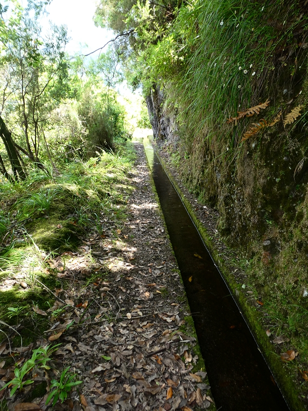 03.07.2018 Rundtour von Boaventura über die Ribeira dos Moinhos nach Achada da Madeira und zurück über die Levada da Achada Grande — Auf der Levada da Achada Grande bis zum Ende — Foto 4