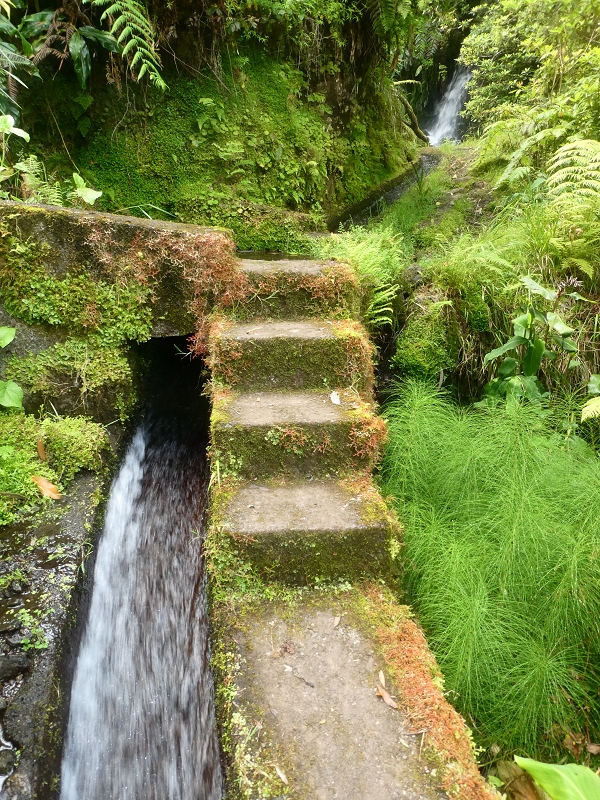 Levada (Nova) da Achada Grande — Madre na Ribeira dos Moinhos — foto 4