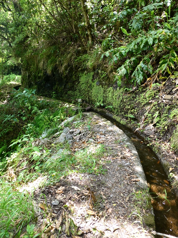 03.07.2018 Rundtour von Boaventura über die Ribeira dos Moinhos nach Achada da Madeira und zurück über die Levada da Achada Grande — Auf der Levada da Achada Grande bis zum Ende — Foto 5