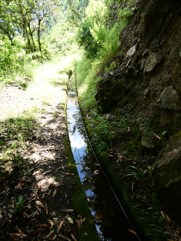 03.07.2018 Rundtour von Boaventura über die Ribeira dos Moinhos nach Achada da Madeira und zurück über die Levada da Achada Grande — Auf der Levada da Achada Grande bis zum Ende — Foto 6