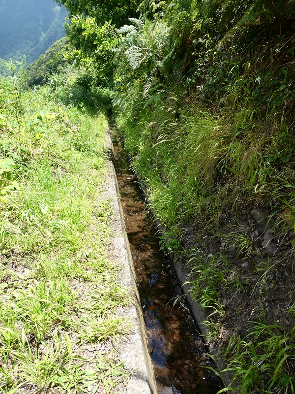 03.07.2018 Rundtour von Boaventura über die Ribeira dos Moinhos nach Achada da Madeira und zurück über die Levada da Achada Grande — Auf der Levada da Achada Grande bis zum Ende — Foto 7