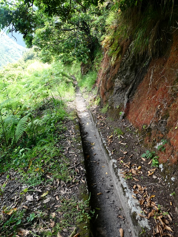 Levada (Nova) da Achada Grande — Até ao fim físico — foto 1