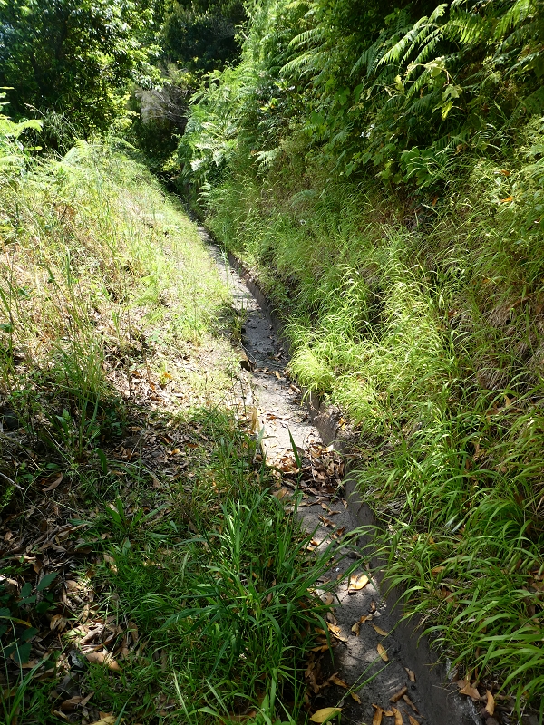 Levada (Nova) da Achada Grande — Até ao fim físico — foto 2