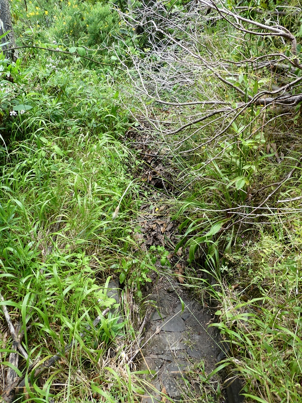 Levada (Nova) da Achada Grande — Até ao fim físico — foto 3
