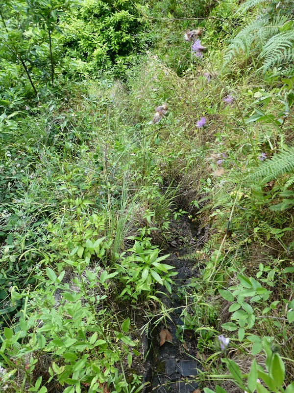 Levada (Nova) da Achada Grande — Até ao fim físico — foto 4