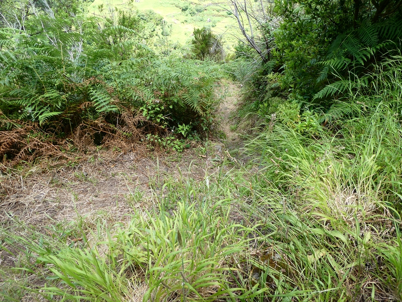 03.07.2018 Rundtour von Boaventura über die Ribeira dos Moinhos nach Achada da Madeira und zurück über die Levada da Achada Grande — Aufstiegsweg von der Strasse zur Levada — Foto 1