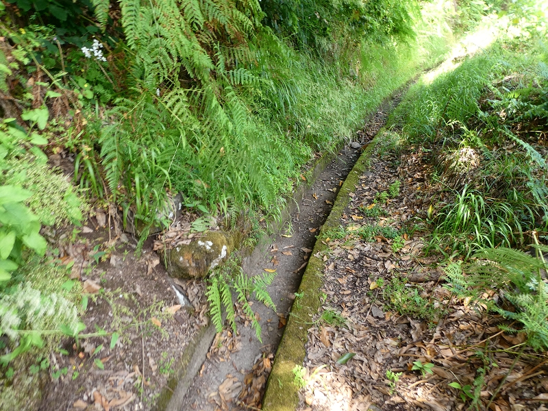03.07.2018 Rundtour von Boaventura über die Ribeira dos Moinhos nach Achada da Madeira und zurück über die Levada da Achada Grande — Gegen die Fliessrichtung bis zum Wasserabfluss nach Falca de Cima — Foto 1