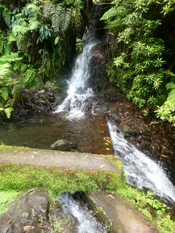 03.07.2018 Rundtour von Boaventura über die Ribeira dos Moinhos nach Achada da Madeira und zurück über die Levada da Achada Grande — Von Rocada zur Madre der Levada da Achada Grande — Foto 13